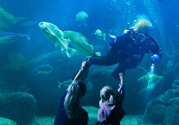 Universeum